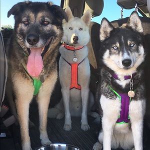 Meet your Posher, Tia